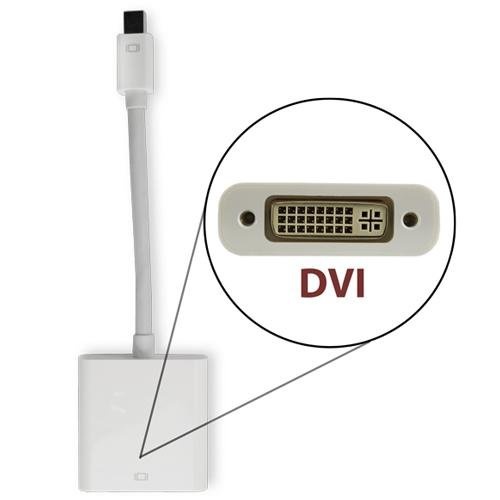 Newer Technology Mini DisplayPort to DVI Adapter T1